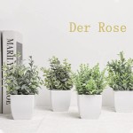 Der Rose 6 Packs Fake Plants Small Artificial Plants for Modern Farmhouse Decor