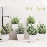 Der Rose 6 Packs Fake Plants Small Artificial Plants for Modern Farmhouse Decor