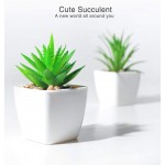 DuHouse Fake Succulents Plants Artificial Potted Faux Plant in Mini Square White Pots for Home Office Bathroom Desk Shelf Decor Set of 4Green