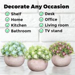 Fake Plants for Decoration Mini Artificial Plants Small Fake Plants Decor Desk Plant Artificial Plants for Home Green Decor Indoor Fake Potted Plants for Bathroom Bedroom Home Office Décor