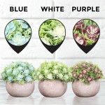 Fake Plants for Decoration Mini Artificial Plants Small Fake Plants Decor Desk Plant Artificial Plants for Home Green Decor Indoor Fake Potted Plants for Bathroom Bedroom Home Office Décor