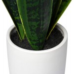Fake Snake Plant 16 Faux Potted Plant Artificial Snake Plant with White Ceramic Pot Sansevieria Plant Perfect for House Modern Living Room Office Housewarming Gift Indoor Decor