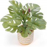 Faux Plants in Pot, Tropical Monstera Artificial Plants in Elegant Ceramic Pot,Potted Fake Succulents and Plants for Home Decor and Office Desktop  Wash Green Monstera
