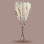 Generic FLA.RUE Silk Faux Pampas Grass 4 Stems Natural Beige 43in110cm Artificial Tall Pampas Grass for Floor Vase Home Decor Wedding Boho Style