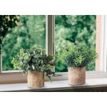 Jelofly Set of 4 Mini Potted Fake Plants Artificial Plant Faux Eucalyptus Boxwood Rosemary Greenery in Pots Face Plant Decor Small Houseplants for Home Decor Office Desk Bathroom Decoration