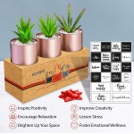 Kitzini Mini Artificial Succulents. Gift Boxed. 3 Faux Plants Indoor Use. Displayed in Rose Gold Tins Premium Fake Plants. DIY Assemble Kit +20 Reusable Stickers for Fun Plants Decor