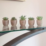 Korvea Set of 5 Artificial Succulent Plants Mini Assorted Fake Succulents Small Artificial Plants in Pots for Home Decor Indoor Fake Plants for Window Sills Bathrooms Office Spaces and More