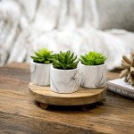 Kurrajong Farmhouse Set of 3 Artificial Succulent Plants in pots | Fake Plant pots | Artificial Plants for Home Decor Indoor | Succulent Plants Artificial | Cute Mini Plant Decor | Faux Plants Indoor