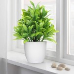 LELEE Artificial Plants Mini Fake Potted Plants 3 Pack Small Eucalyptus Potted Faux Decorative Grass Plant with White Pot for Home Decor Indoor Office Desk Table Decoration
