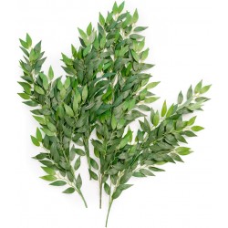 Ling's moment Artificial Italian Ruscus Greenery Stem-Faux Floral Hanging Greenery Spray for Wedding Bouquet,Arch,Table Centerpieces and Home Decor（27.55" Tall）