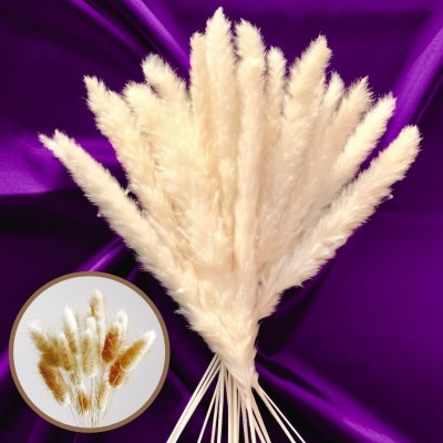 Luxury Box Protected Pampas Grass Decor 35 Pieces 17" Boho Decor Grass Decor for Dried Pampas Grass Plants Boho Home Decor Pompous Grass Pompass Grass Branches Ivory
