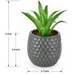 Lvydec Artificial Green Plant in Pot Faux Succulent Plant with a Ceramic Pot for Table Shelf Mantle Home Bath Office Decor