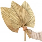 MAOMEI Decoration Wedding Decor Tropical Bohemian Trimmed Natural Palm Spears Fan Leaf Leaves Dried Plant1Pc