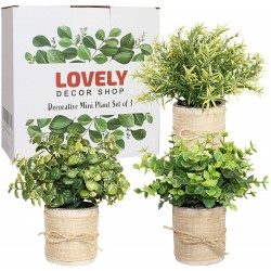 Mini Artificial Potted Plant Set of 3 Faux Eucalyptus Boxwood Rosemary Greenery in Pots Small Houseplants for Home Decor Office Desk Decoration.