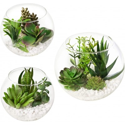 MOTINI Artificial Succulent Plants in Clear Glass Pot with Pebble Set of 3 Potted Fake Succulent Realistic Tabletop Greenery Plants for Home and Office Decoration