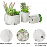 MOTINI Artificial Succulent Plants Set of 3 Fake Succulent Plants in Pots Large Faux Plant Succulent Decor for Home and Office