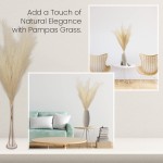 My Snazzy Décor Faux Pampas Grass Tall Pampas Grass Home Decor with Long Fluffy Plumes Boho Living Room Decor Artificial Decorative Grass for Office Party Events 45 Stalks 3-Pack Beige