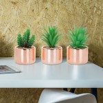 MyGift Set of 3 Mini Fake Succulents Artificial Plants for Home Decor Indoor Plant in Cylindrical Rose Gold Ceramic Pots