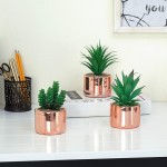 MyGift Set of 3 Mini Fake Succulents Artificial Plants for Home Decor Indoor Plant in Cylindrical Rose Gold Ceramic Pots