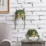 MyGift Wall-Mount Artificial String of Pearls Plants in Brass Wall Hanging Planter Pots Hangs 10-Inches Long Set of 2