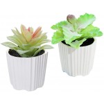 N A Cayway 8 Pack Artificial Moss and Artificial Succulent Plants Set Fake Green Lichen Plants Mixed Unpotted Fake Succulent Flowers Plant Succulent for Home Decor Indoor Wall Garden DIY