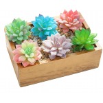 N A Cayway 8 Pack Artificial Moss and Artificial Succulent Plants Set Fake Green Lichen Plants Mixed Unpotted Fake Succulent Flowers Plant Succulent for Home Decor Indoor Wall Garden DIY