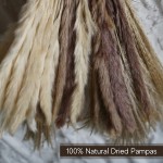 Pompous Natural Dried White Brown and Reed Fluffy Faux Bundle Pampas Grass for Vase Home Decor and Floral Arrangements | 60 Pieces
