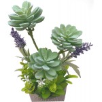 Potted Succulents Faux Plants in Cement Pots 12.5 H Artificial Desert Greens with Detailed Leaves Lifelike Arrangements for Home Décor and Office Decor Year-Round Green