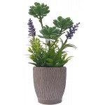 Potted Succulents Faux Plants in Cement Pots 12.5 H Artificial Desert Greens with Detailed Leaves Lifelike Arrangements for Home Décor and Office Decor Year-Round Green