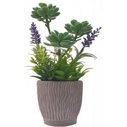 Potted Succulents Faux Plants in Cement Pots 12.5" H Artificial Desert Greens with Detailed Leaves Lifelike Arrangements for Home Décor and Office Decor Year-Round Green
