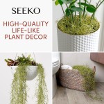 SEEKO Faux Greenery Moss for Potted Plants Realistic Spanish Moss Hanging Plants Artificial Decor Fake Moss Hanging Vines Terrarium Moss – 3 Pack