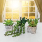 Set of 3 Assorted Small Green Potted Succulents Plants Decoration String of Pearls Fake Succulents in Rustic Wooden Pots for Home Living Room Bathroom Table Windowsill Shelf Office Desk Indoor Decor