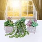 Set of 3 Assorted Small Potted Succulents Plants Decoration Assorted Green Fake Succulents Plants in Rustic Wooden Pots for Home Living Room Bathroom Table Shelf Windowsill Office Desk Indoor Decor