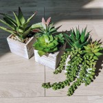 Set of 3 Assorted Small Potted Succulents Plants Decorations Green Fake Aloe Succulents in Rustic Wooden Pots for Home Living Room Bathroom Table Centerpiece Windowsill Shelf Office Desk Indoor Decor