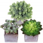 Set of 3 Assorted Small Potted Succulents Plants Decorations Green Fake Succulents Cacti in Rustic Wooden Pots for Home Living Room Bathroom Table Centerpiece Windowsill Shelf Office Desk Indoor Decor