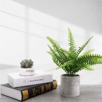 Set of 3 Small Potted Artificial Plants Artificial Plastic Ferns Plants Faux Greenery Plants Faux Plants Indoor for Rustic Home Farmhouse Bathroom Decor