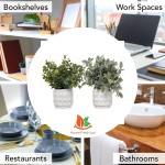 Small Artificial Plants For Home Decor Indoor Farmhouse Plant Decor Set Small Faux Plants For Shelves -Bathroom Plants Decoration White Potted Fake Plants For Office Desk Shelf Eucalyptus In Pot