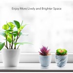 Succulents Plants Artificial Mini Fake Succulent Blissur Small Faux Potted Artificial Succulents Plant in Pots Shelf Desk Cute Fake Decor Plant Decorations for Office Home Bathroom Bed room Set of 4