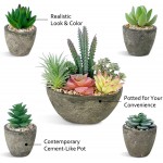 Succulents Plants Artificial Set of 5 Realistic Fake Succulents with Cement Like Pots for Home Office Decoration.