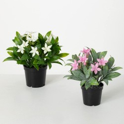 Sullivans Artificial Flowering Plant 8.5" H in Pot Set of 2 Fake Spring Home Décor Living Room Deocr