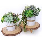Supla 14 Pcs Artificial Succulents Plants in Bulk Assorted Unpotted Hanging String of Pearls Cactus Aloe Picks Small Fake Succulents for Wreath Centerpiece Floral Arrangement Indoor Outdoor Home Décor