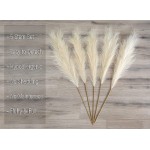 Tall Pampas Grass 5 PC Bundle 3.5ft 43in Adjustable Stems Fluffy and Large Faux Pampas Grass Beautiful Beige Boho Decor for Home Office Weddings and More Vase Filler…