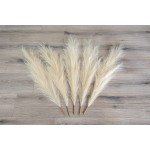 Tall Pampas Grass 5 PC Bundle 3.5ft 43in Adjustable Stems Fluffy and Large Faux Pampas Grass Beautiful Beige Boho Decor for Home Office Weddings and More Vase Filler…