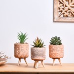 TERESA'S COLLECTIONS Bohemia Artificial Potted Plants for Home Decor Assorted Faux Succulents in Ceramic Planter Pot for Bathroom Living Room Shelf Desk Decoration-Set of 3
