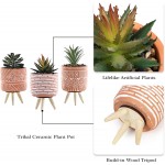 TERESA'S COLLECTIONS Bohemia Artificial Potted Plants for Home Decor Assorted Faux Succulents in Ceramic Planter Pot for Bathroom Living Room Shelf Desk Decoration-Set of 3