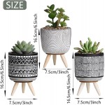 TERESA'S COLLECTIONS Bohemia Artificial Potted Plants for Home Decor Farmhouse Assorted Faux Succulents in Ceramic Planter Pot with Tassel for Windowsill Living Room Shelf Desk Decoration