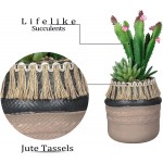 TERESA'S COLLECTIONS Bohemia Artificial Potted Plants for Home Decor Farmhouse Assorted Faux Succulents in Ceramic Planter Pot with Tassel for Windowsill Living Room Shelf Desk Decoration