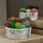 TG,LLC Treasure Gurus Mini Donkey Tail Artificial Desert Succulent Plant Floral Garden Home Decor