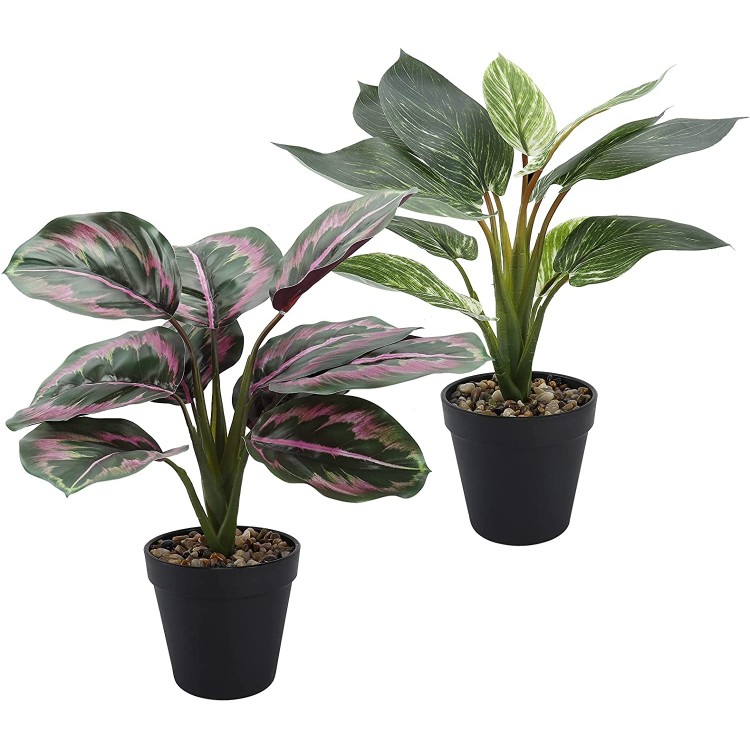 THE BLOOM TIMES 2 PCS Fake Plants 14 inch Small Artificial Potted Plants Faux Plants Indoor for Home Farmhouse Bathroom Decor