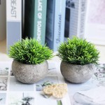 THE BLOOM TIMES 4 Pack Assorted Mini Fake Potted Plants for Bathroom Home Office Decor Small Artificial Faux Greenery for House Decorations